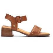 Sandaalit Pikolinos  Oliva  36