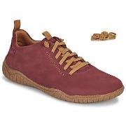 Kengät Josef Seibel  WYNONA 06 BAREFOOT  38