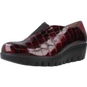 Kengät Wonders  C33340  39