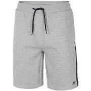 Shortsit & Bermuda-shortsit 4F  SKMD010  EU L