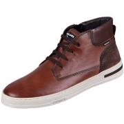 Kengät Pikolinos  Xativa  44