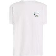Lyhythihainen t-paita Tommy Hilfiger  DM0DM18283 YBR  EU XXL