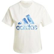Lyhythihainen t-paita adidas  IS4258  EU XS