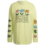 Svetari adidas  HC5428  EU S