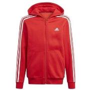 Svetari adidas  Performance  EU S