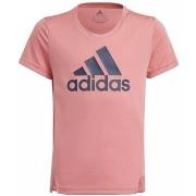 Lyhythihainen t-paita adidas  Designed TO Move  EU M