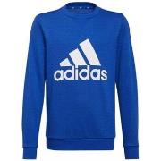 Svetari adidas  GN5915  EU S