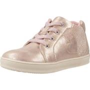 Lastenkengät Chicco  CODINA  24