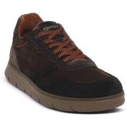 Kengät IgI&CO  BERT NOTTE  40