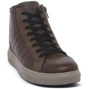 Kengät IgI&CO  SACHA CAFFE  42