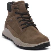 Kengät IgI&CO  ELOY FANGO  44