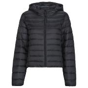Toppatakki Only  ONLTAHIA LW QUILTED HOOD  EU S