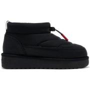 Kengät D.Franklin  NILKKASAAPPAAT  Nordic Low Bomb  36