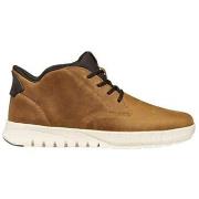 Kengät Geox  Flextride Plus  42