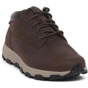 Kengät Timberland  POLACCO  41