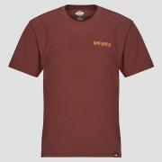 Lyhythihainen t-paita Dickies  BURNS TEE SS ANDORRA  EU S
