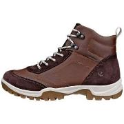 Kengät Ecco  Xpedition Iii  37