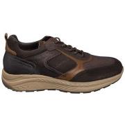 Kengät Fluchos  LENKKARIT  F2289  41