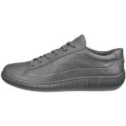 Kengät Ecco  Soft Zero  43