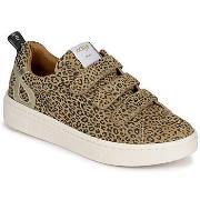 Kengät Adige  ALFAI  37