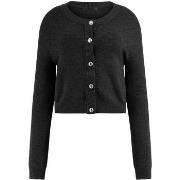 Mekot Guess  Holland Cn Ls Cardi Swtr  EU XS