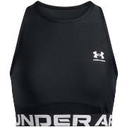 Hihattomat paidat / Hihattomat t-paidat Under Armour  Heatgear Rib Tan...