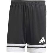 Shortsit & Bermuda-shortsit adidas  Squa25 Sho M  EU XXL