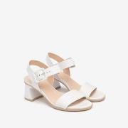 Sandaalit NeroGiardini  Nappa Pandora Tr Lierna 8390 Natur  38