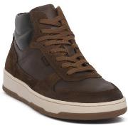 Kengät NeroGiardini  NERO GIARDINI 339 VELOUR MALTO  42