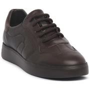 Kengät Frau  SURF LEGNO MORO  42