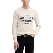 Neulepusero Tommy Hilfiger  ATHLEISURE CREW NECK MW0MW39533  EU XXL