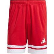 Shortsit & Bermuda-shortsit adidas  Squadra 25  EU XXL