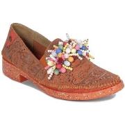 Kengät Maciejka  0585418005  38