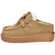 Kengät D.Franklin  DFSH375005  38