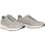 Tennarit Mephisto  Doyle  45 1/2