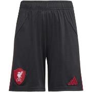 Shortsit & Bermuda-shortsit adidas  Lfc A Sho Y  11 / 12 vuotta