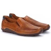 Tennarit Pikolinos  Azores  40