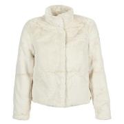 Pusakka Only  ONLVIDA  EU XS