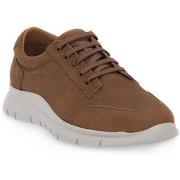 Kengät Frau  DESERT NOUBUCK  41