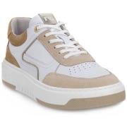 Tennarit NeroGiardini  NERO GIARDINI 437 SIERRA ECRU  37