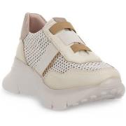 Tennarit Hispanitas  HAWAI  37