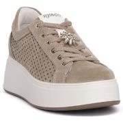 Tennarit IgI&CO  ALLY AVORIO  36