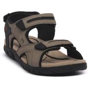 Sandaalit Geox  5004 STRADA  46