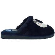 Kengät Demax  -  36