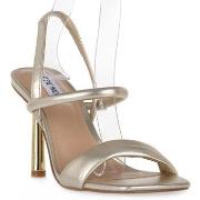 Sandaalit Steve Madden  GOLD EQUISITE  37
