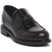 Kengät NeroGiardini  NERO GIARDINI 613 ASPORT BORDO  38