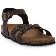 Sandaalit Gold Star  STARTEK MORO  38