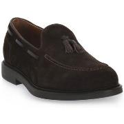 Kengät NeroGiardini  NERO GIARDINI  300 COLORADO MORO  43