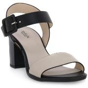 Sandaalit NeroGiardini  NERO GIARDINI  702 NAPPA PANDORA IVORY  37