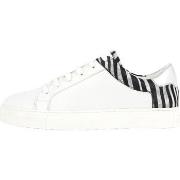 Kengät Les Tropeziennes par M.Belarbi  155220  36